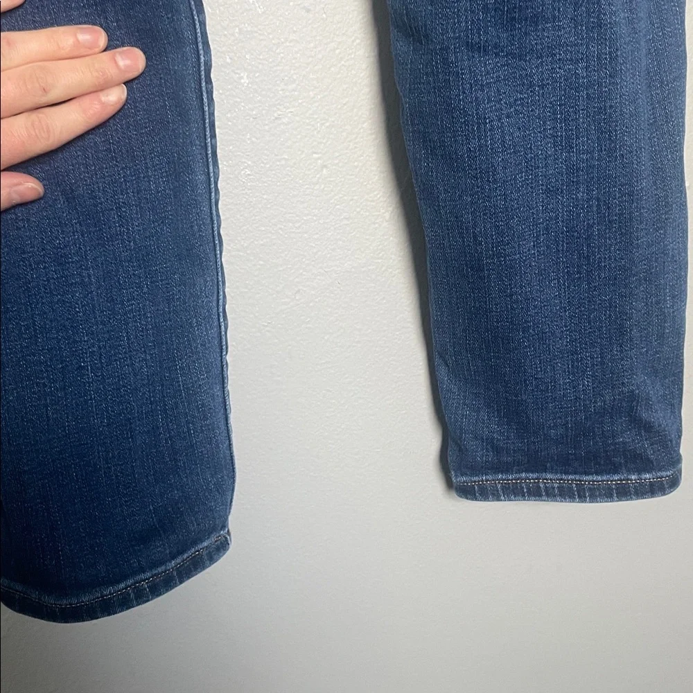 J. Crew 10” high rise size 26 skinny jeans normcore capsule denim